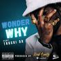 Wonder Why (feat. TRUSKI 5X) [Explicit]