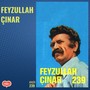 FEYZULLAH ÇINAR