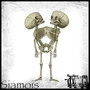 Siamois (Explicit)