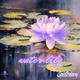 Water Lily