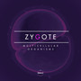 Zygote