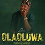 OLAOLUWA (feat. Samk3ys)