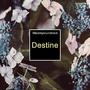 Destine