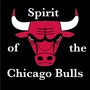 Spirit of the Chicago Bulls