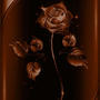 brown rose