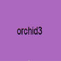 orchid (Explicit)