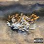 Vestibulārais Aparāts (Explicit)