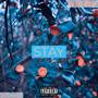 STAY