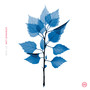 Get Sunk (Explicit)