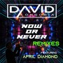 Now or Never Remixes