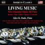 Chamber Music (Flute) - Kernis, A.J. / Fine, M. / Elkies, N.D. / Barker, J.M. / Coleman, D. (Living Music) [A.K. Dade, Scott Yoo, Arvinder, N. Elkies]