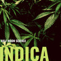 Indica (Instrumental)