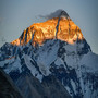 Everest Free Beat Trap