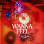 wanna feel