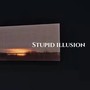 Stupid illusion