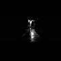willin' / / cypher tape