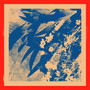 ecology of the wind