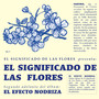 El Significado de las Flores