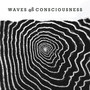 Waves of Consciousness