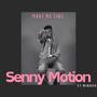 Senny Motion Make me sing (feat. Minado) [Instrumental]