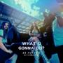 What You Gonna Do? (feat. Avamarie) [Explicit]