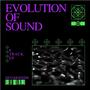 EVOLUTION OF SOUND