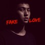 Fake Love