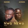 Nwa nkwo (Remix) (feat. Anyidons)