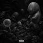 WYS (Explicit)