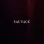 SAUVAGE (Explicit)