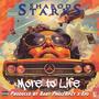 More to Life (Explicit)