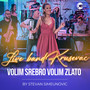 Volim srebro volim zlato (Cover)