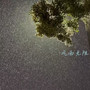 风雨无阻 (DJ版)