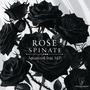 ROSE SPINATE
