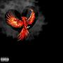 PHNX/LUV (Explicit)