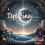 Tere Bina