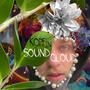 Kopf in Soundcloud