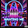 Wanting Me (Explicit)