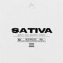 SATIVA (feat. Ronny J, Randy O, Tyago & NCG) [Explicit]