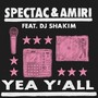 Yea Y'all (feat. DJ Shakim)