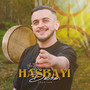 Hasbayi Dabohari