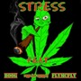 Stress (feat. Boog & FlyMcFly)