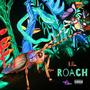 Lil Roach (Explicit)