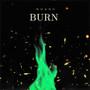 Burn