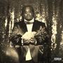 invest (Explicit)