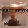 PERCEPTION (Explicit)