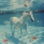 freedom (Explicit)