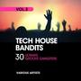 Tech House Bandits, Vol. 3 (30 Ultimate Groove Gangsters)