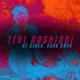 Teri Aashiqui