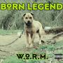 BornLegend (Explicit)